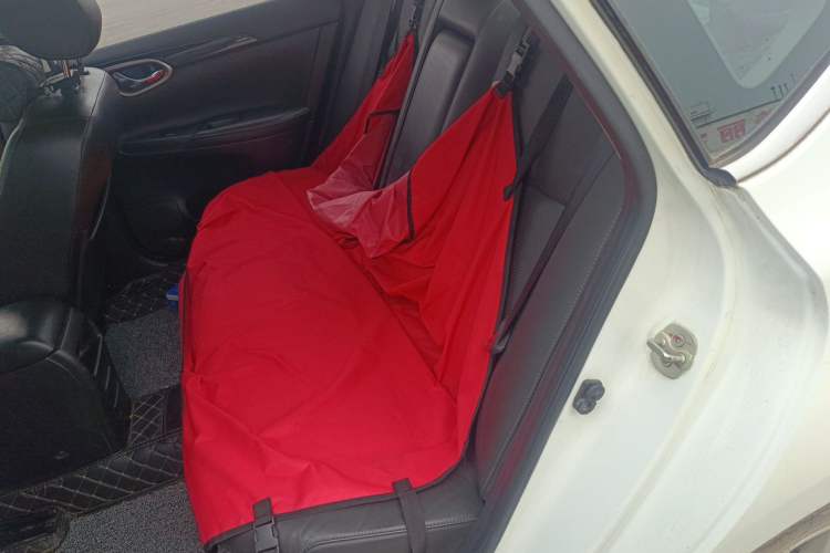 Used Nissan Sylphy 2016 1.6 XL CVT Luxury Edition Left Rear Seat