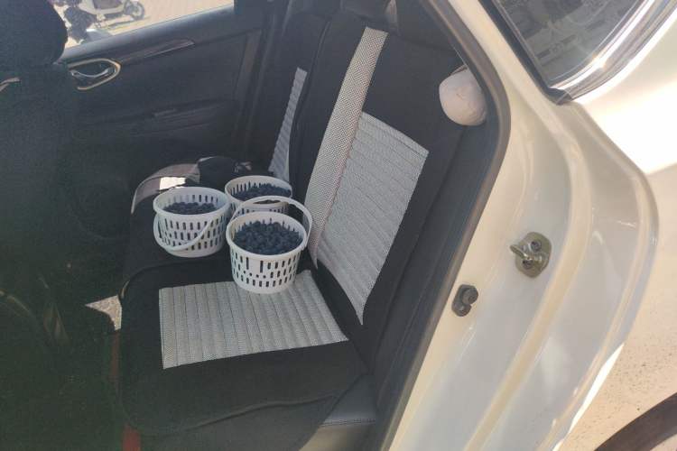 Used Nissan Sylphy 2016 1.6 XL CVT Luxury Edition Left Rear Seat