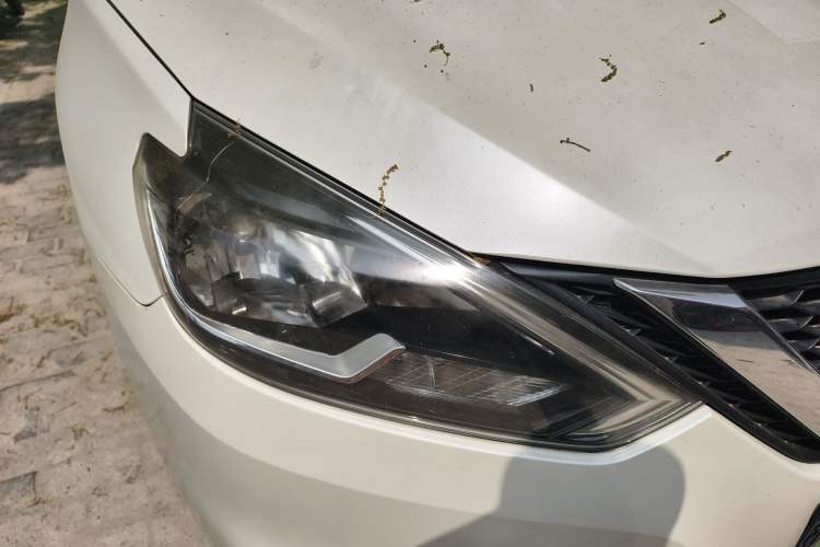 Used Nissan Sylphy 2016 1.6 XL CVT Luxury Edition Right Front Headlight