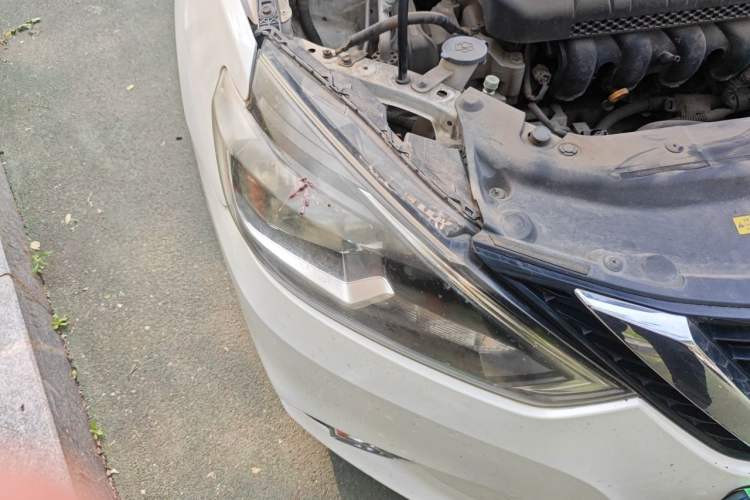Used Nissan Sylphy 2016 1.6 XL CVT Deluxe Edition Right Front Headlight