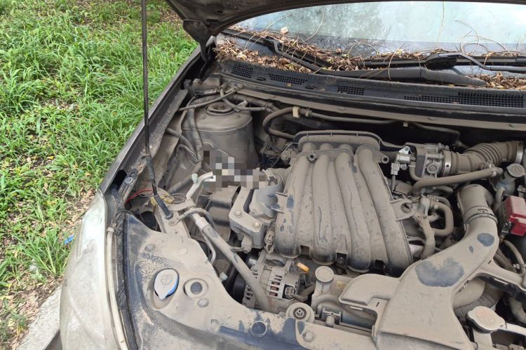 Used Nissan Sylphy 2016 1.6XE Manual Comfort Edition Engine Bay Right
