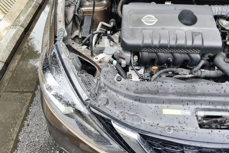 Used Nissan Sylphy 2016 1.6XV CVT Smart Enjoyment Version Engine Bay Right