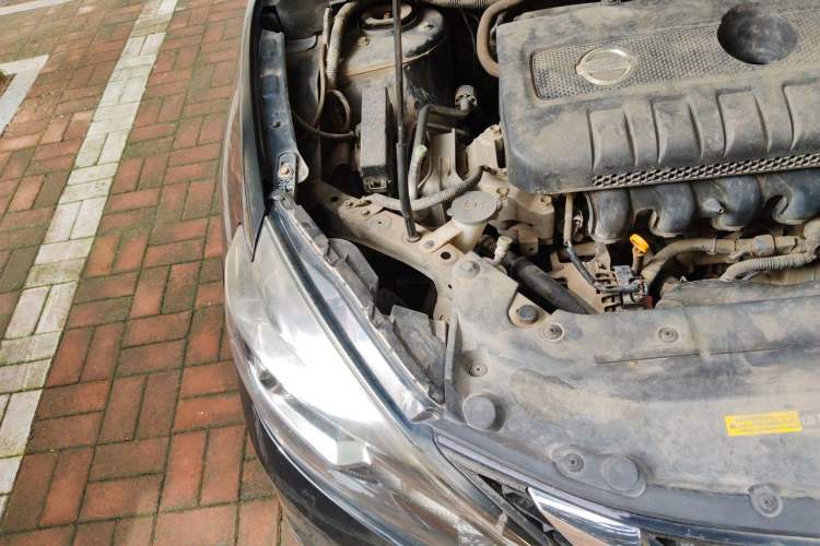 Used Nissan Sylphy 2018 1.6XV CVT Deluxe Edition Engine Bay Right