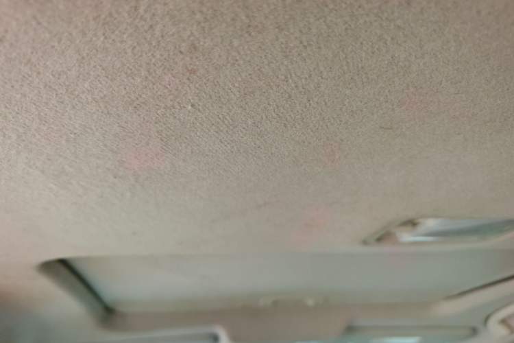 Used Nissan Sylphy 2018 Classic 1.6XE+ Manual Leading Edition Headliner