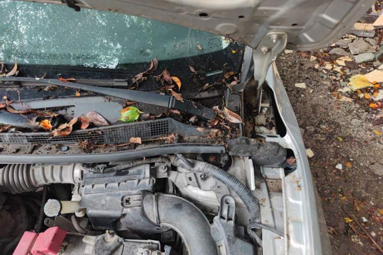 Used Nissan Sylphy 2018 1.6XV CVT Deluxe Edition Engine Bay Left