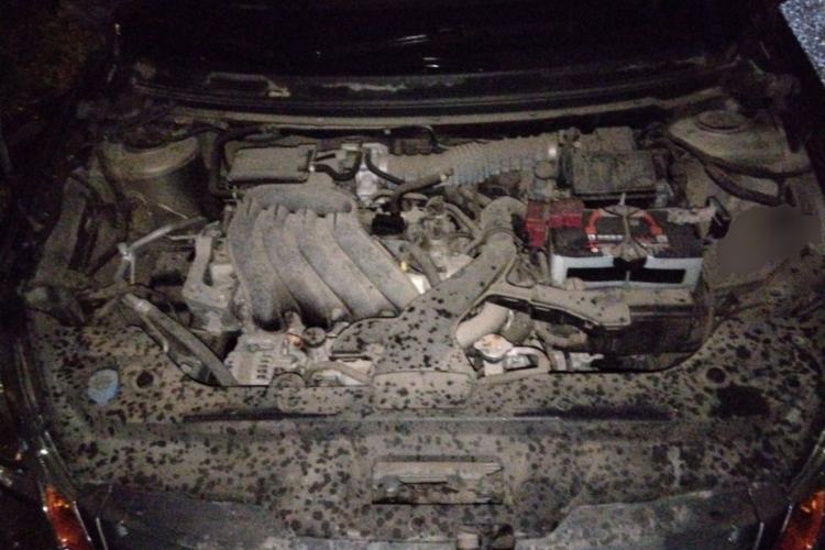 Used Nissan Sylphy 2018 Classic 1.6XE+ CVT Leading Edition Engine Bay