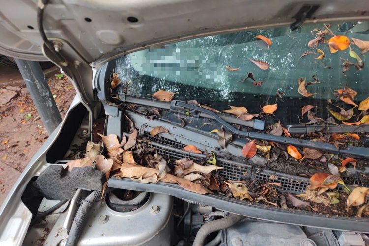 Used Nissan Sylphy 2018 1.6XV CVT Deluxe Edition Engine Bay Right