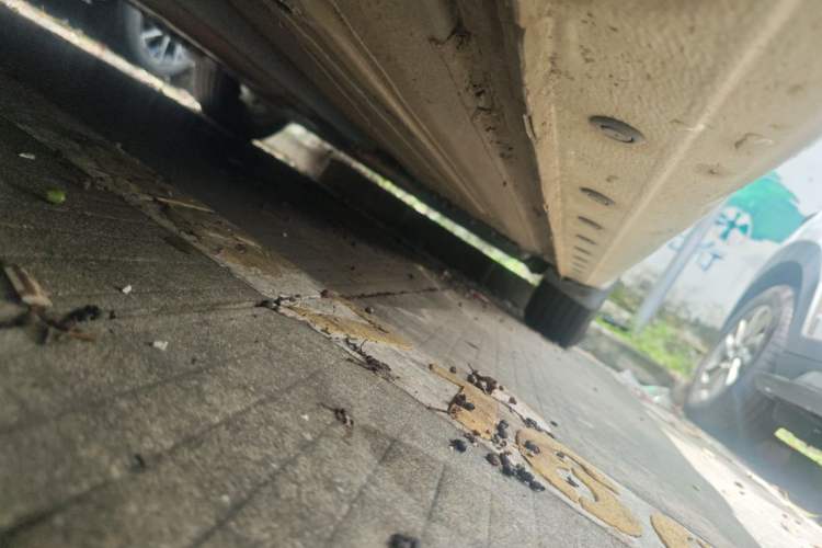 Used Nissan Sylphy 2018 1.6XV CVT Deluxe Edition Chassis Front Left