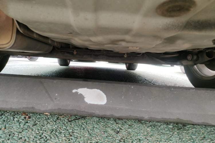 Used Nissan Sylphy 2018 1.6XV CVT Deluxe Edition Chassis Rear