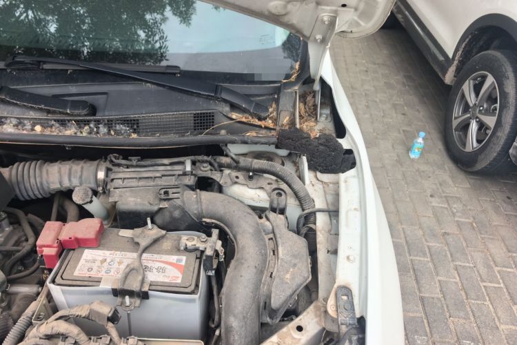 Used Nissan Sylphy 2018 1.6XV CVT Deluxe Edition Engine Bay Left