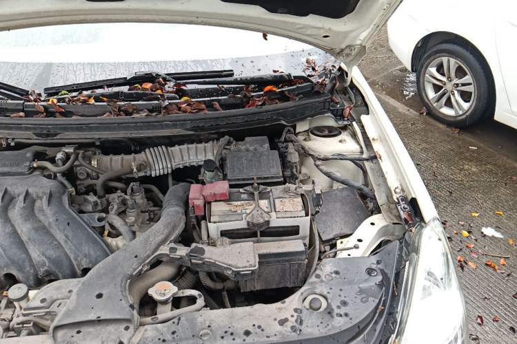 Used Nissan Sylphy 2018 Classic 1.6XE CVT Comfort Edition Engine Bay Left
