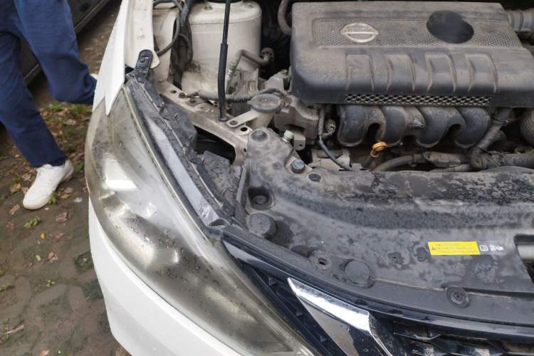 Used Nissan Sylphy 2018 1.6XV CVT Deluxe Edition Engine Bay Right