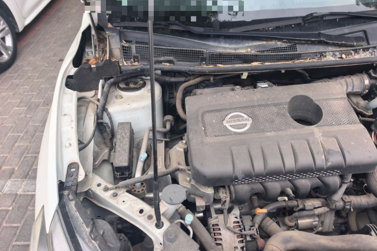 Used Nissan Sylphy 2018 1.6XV CVT Deluxe Edition Engine Bay Right