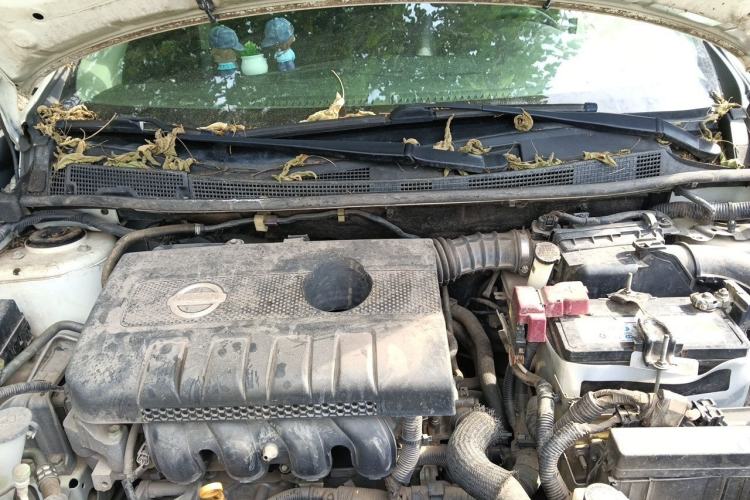 Used Nissan Sylphy 2018 1.6XV CVT Deluxe Edition Engine Bay