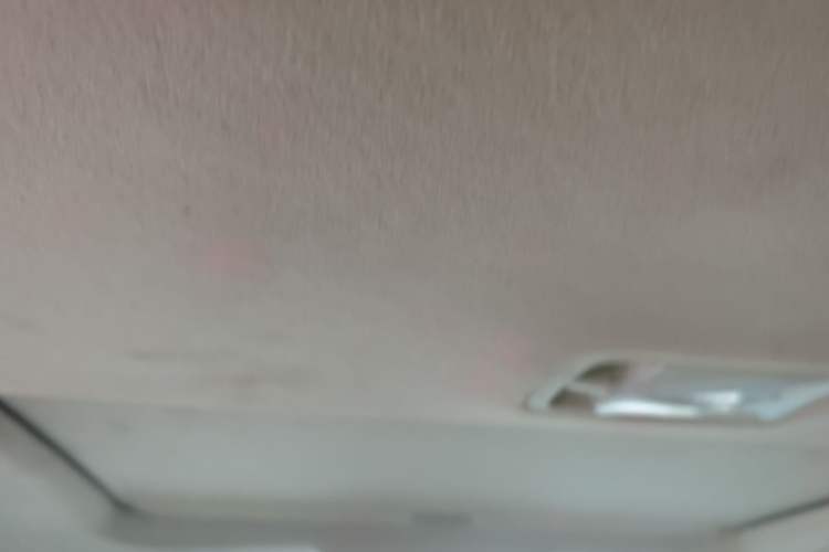 Used Nissan Sylphy 2018 Classic 1.6XE+ Manual Leading Edition Headliner