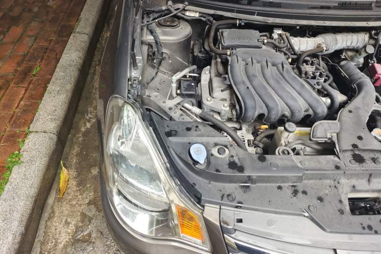 Used Nissan Sylphy 2018 Classic 1.6XE+ CVT Leading Edition Engine Bay Right