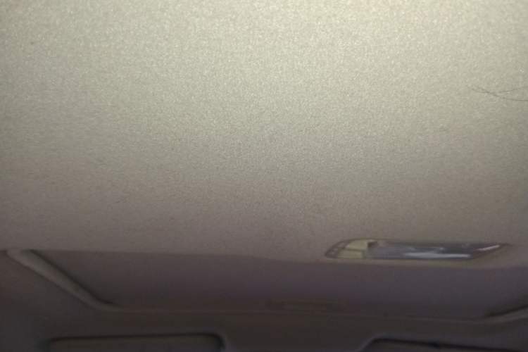 Used Nissan Sylphy 2018 1.6XV CVT Deluxe Edition Headliner