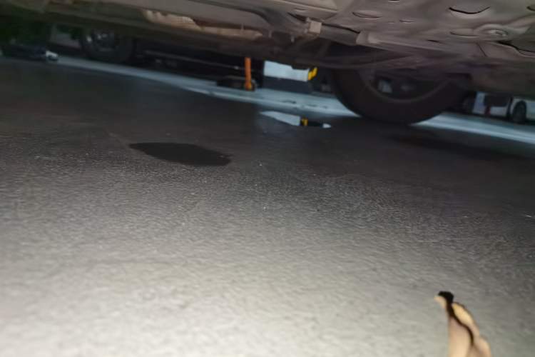 Used Nissan Sylphy 2019 Classic 1.6XL CVT Luxury Edition Chassis Front Right