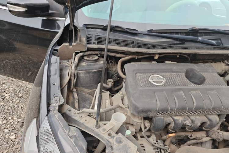 Used Nissan Sylphy 2019 1.6XV CVT Smart Connect Luxury Edition China V Standard Engine Bay Right