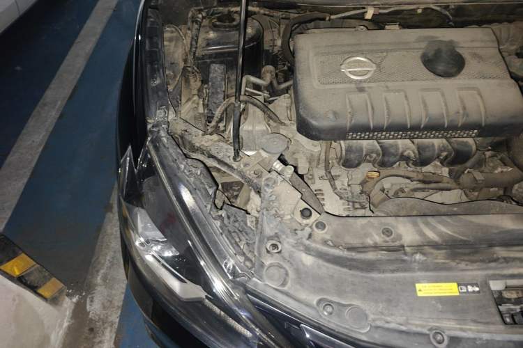 Used Nissan Sylphy 2019 Classic 1.6XE CVT Comfort Edition Engine Bay Right