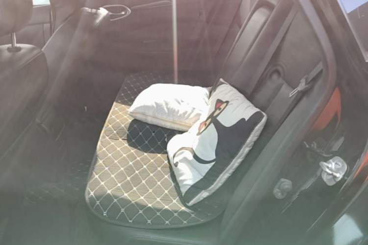 Used Nissan Sylphy 2019 1.6XV CVT Smart Connect Luxury Edition China VI Standard Left Rear Seat