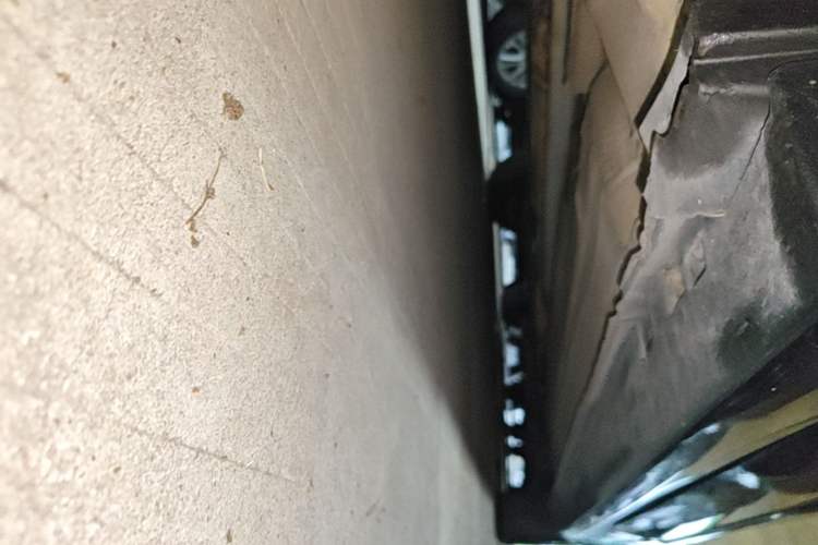 Used Nissan Sylphy 2019 Classic 1.6XE+ CVT SmartConnect Leading Edition Left Side Sill