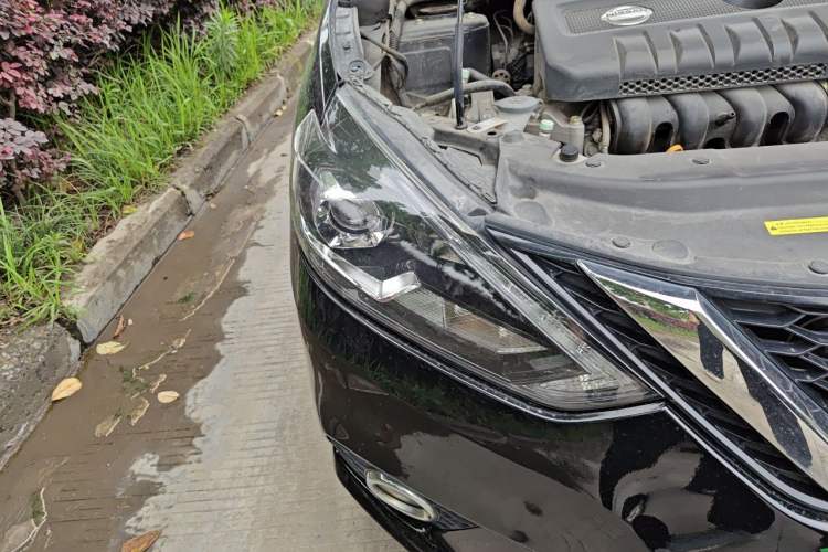 Used Nissan Sylphy 2019 1.6XV CVT Smart Connect Luxury Edition China VI Standard Right Front Headlight