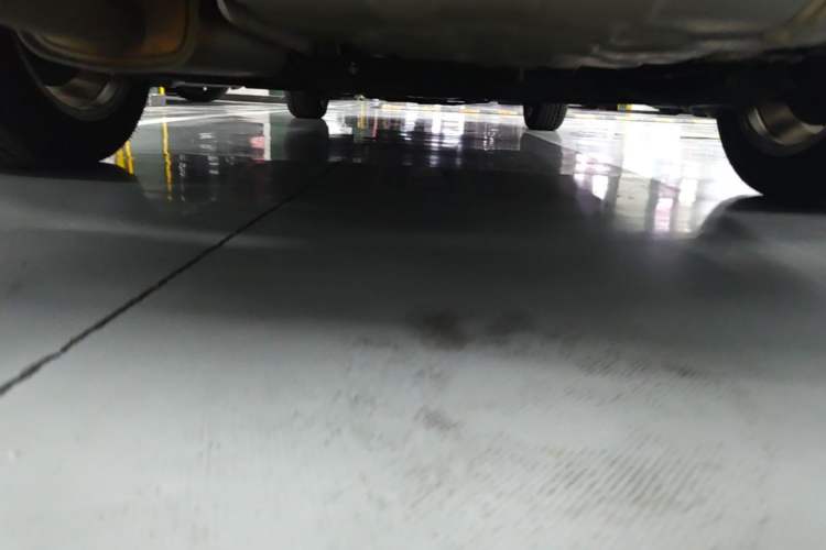 Used Nissan Sylphy 2019 1.6XV CVT Smart Connect Luxury Edition China V Standard Chassis Rear