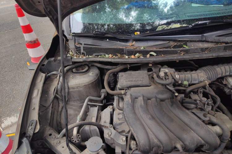 Used Nissan Sylphy 2019 Classic 1.6XE CVT Comfort Edition Engine Bay Right