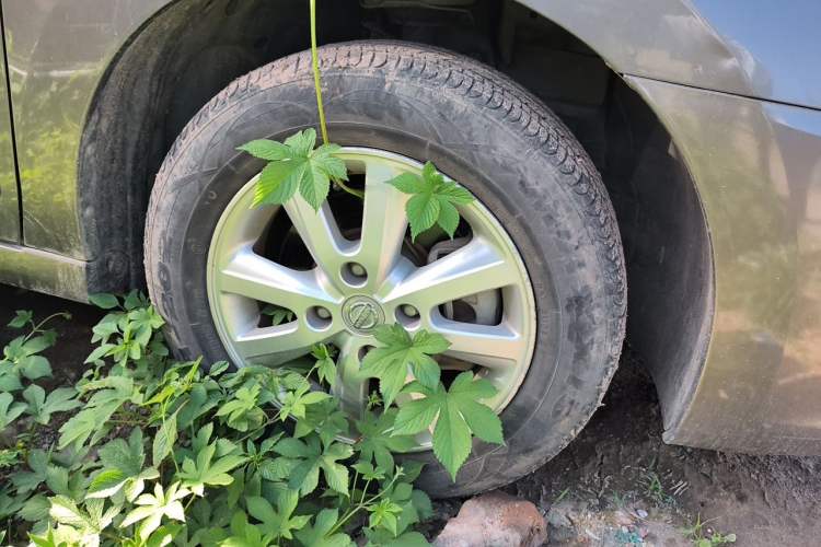 Used Nissan Sylphy 2019 Classic 1.6XE+ CVT Smart Connect Luxury Edition Right Front Wheel Hub