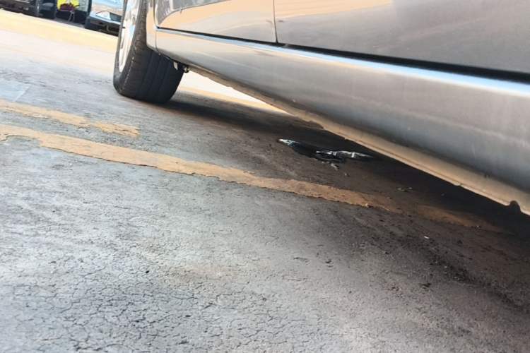 Used Nissan Sylphy 2019 1.6XE CVT Comfort Edition China V Standard Left Side Sill