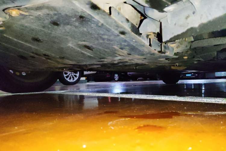 Used Nissan Sylphy 2019 Classic 1.6XE CVT Comfort Edition Chassis Front Left