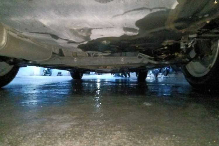Used Nissan Sylphy 2019 1.6XV CVT Smart Connect Luxury Edition China VI Standard Chassis Rear