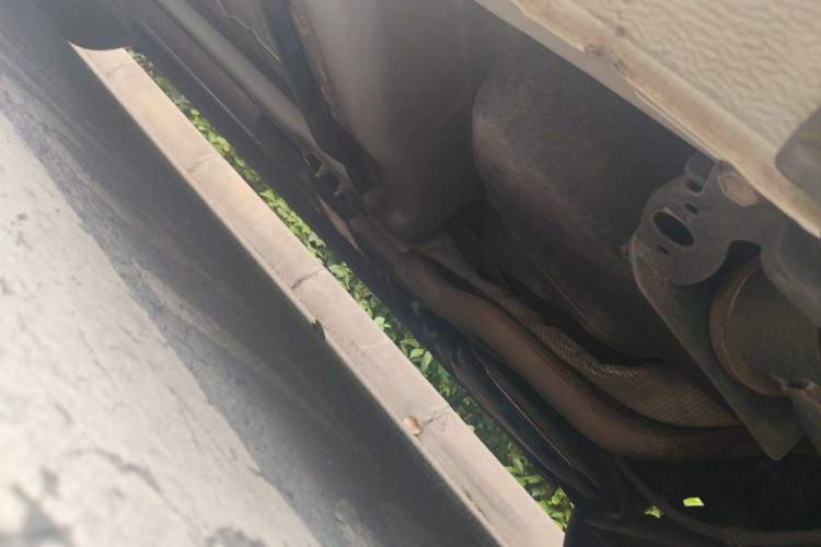 Used Nissan Sylphy 2019 Classic 1.6XL CVT Luxury Edition Chassis Rear Left