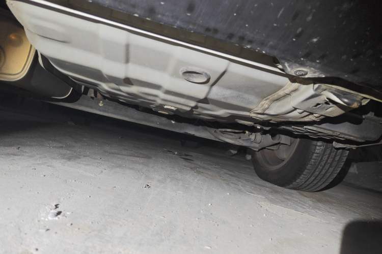 Used Nissan Sylphy 2019 1.6XV CVT Smart Connect Luxury Edition China V Standard Chassis Rear