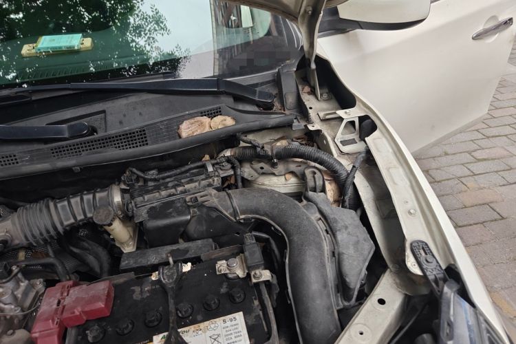 Used Nissan Sylphy 2019 Classic 1.6XL CVT Luxury Edition Engine Bay Left