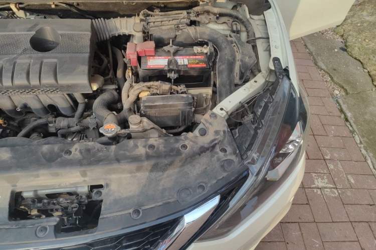 Used Nissan Sylphy 2019 1.6XV CVT Smart Connect Luxury Edition China V Standard Engine Bay Left