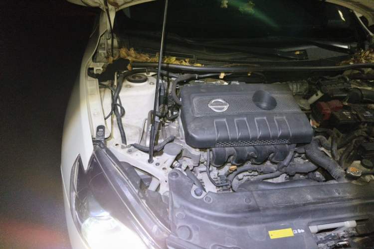 Used Nissan Sylphy 2019 1.6XV CVT Smart Connect Luxury Edition China VI Standard Engine Bay Right