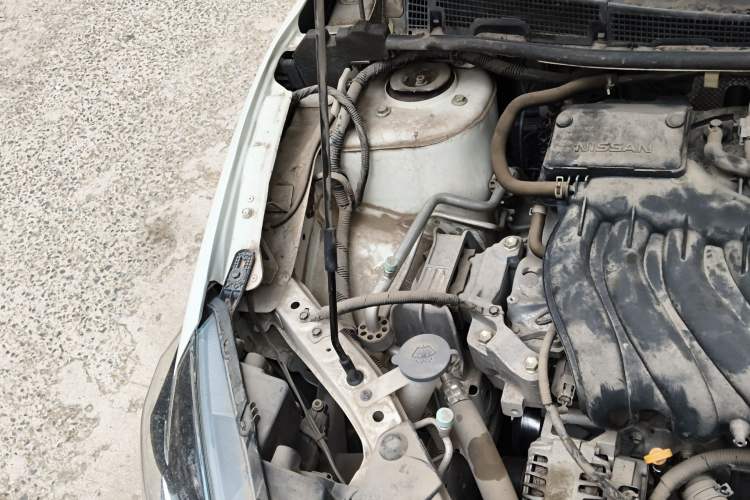 Used Nissan Sylphy 2019 Classic 1.6XE CVT Comfort Edition Engine Bay Right
