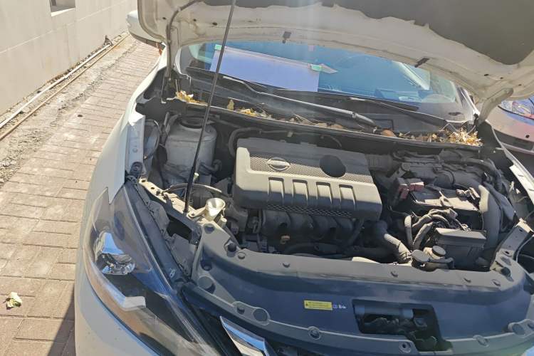 Used Nissan Sylphy 2019 1.6XV CVT Smart Connect Luxury Edition China VI Standard Engine Bay Right