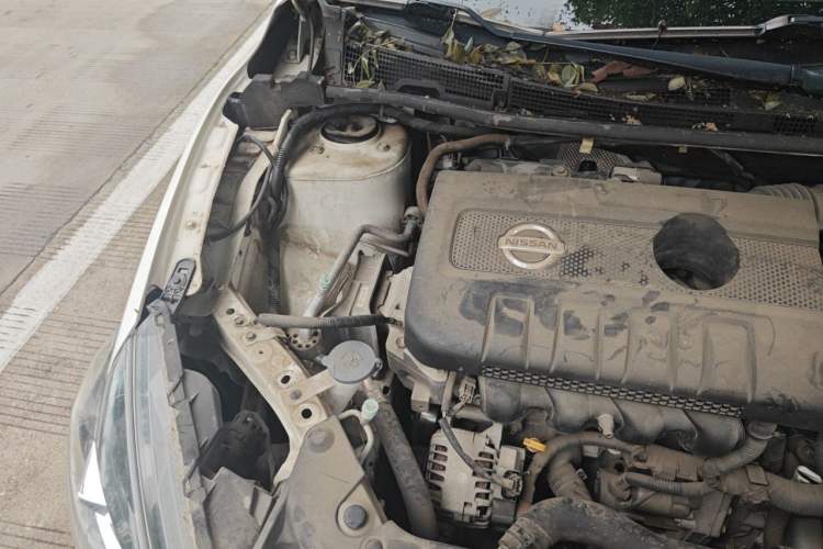 Used Nissan Sylphy 2019 Classic 1.6XL CVT Luxury Edition Engine Bay Right