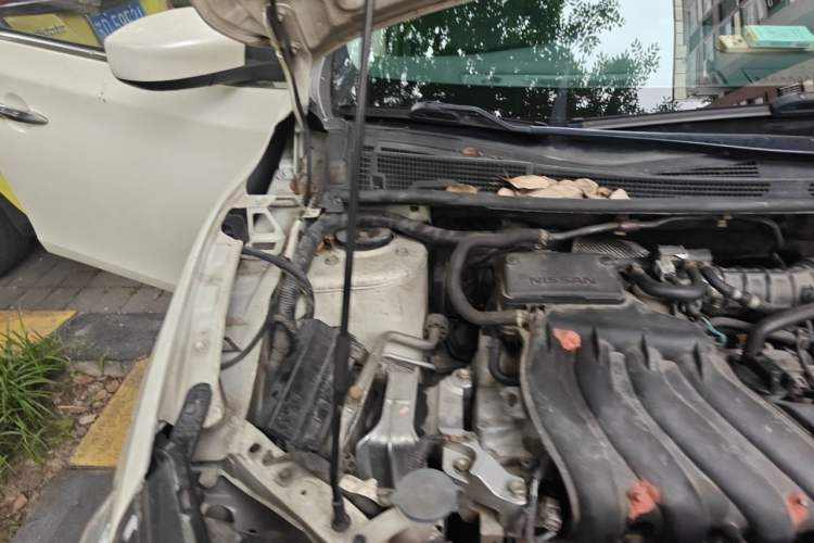Used Nissan Sylphy 2019 Classic 1.6XL CVT Luxury Edition Engine Bay Right