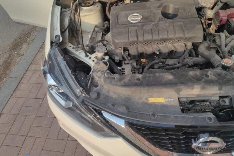 Used Nissan Sylphy 2019 1.6XV CVT Smart Connect Luxury Edition China V Standard Engine Bay Right