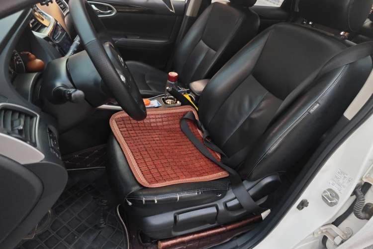 Used Nissan Sylphy 2019 1.6XV CVT Smart Connect Luxury Edition China VI Standard Left Front Seat