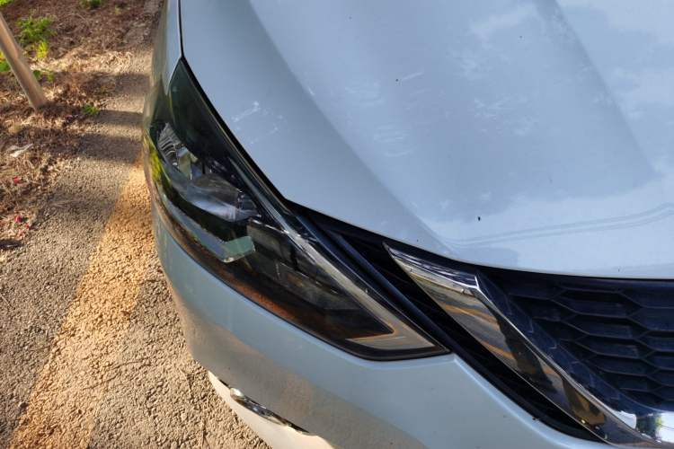 Used Nissan Sylphy 2019 Classic 1.6XL CVT Luxury Edition Right Front Headlight