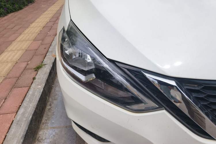 Used Nissan Sylphy 2019 Classic 1.6XE CVT Comfort Edition Right Front Headlight