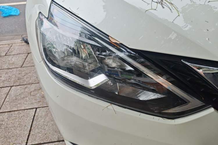 Used Nissan Sylphy 2019 Classic 1.6XL CVT Luxury Edition Right Front Headlight