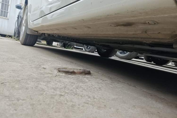 Used Nissan Sylphy 2019 Classic 1.6XL CVT Luxury Edition Right Side Sill
