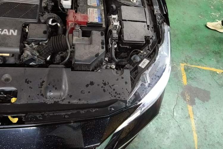 Used Nissan Sylphy 2020 Revised Version 1.6L XL CVT Smart Enjoyment Edition Engine Bay Left