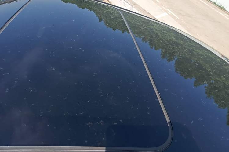Used Nissan Sylphy 2020 1.6L XL CVT Smart Enjoyment Edition Roof